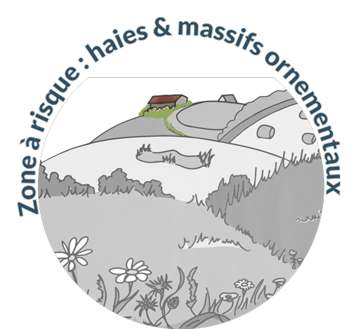 Haies et massifs ornementaux