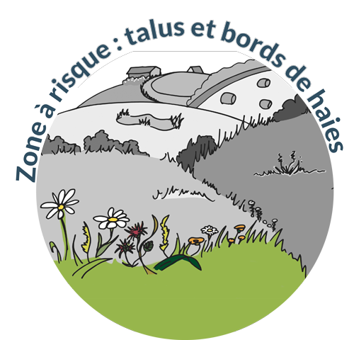 Talus et bords de haies
