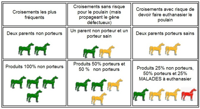 Tableaux de croisements