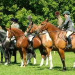 Les Equirencontres de Deauville 2017 en vidéos