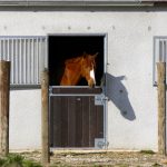 Épizootie d&rsquo;herpèsviroses : suivi n°4 au 18 mai 2018