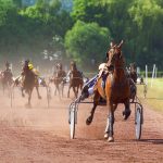 Épizootie de grippe équine : Communiqué de presse n°1 au 9 février 2019