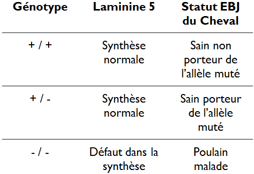 Expression de la maladie en fonction du génotype