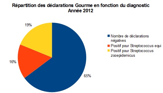 Bilan sous-réseau gourme 2012 - RESPE