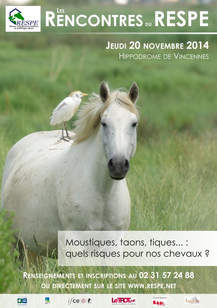 Affiche des rencontres du RESPE 2014