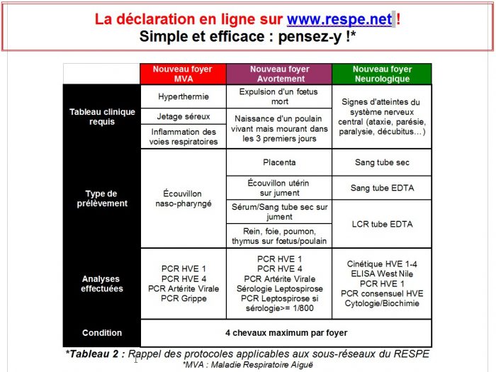 Protocoles applicables aux sous-reseaux RESPE