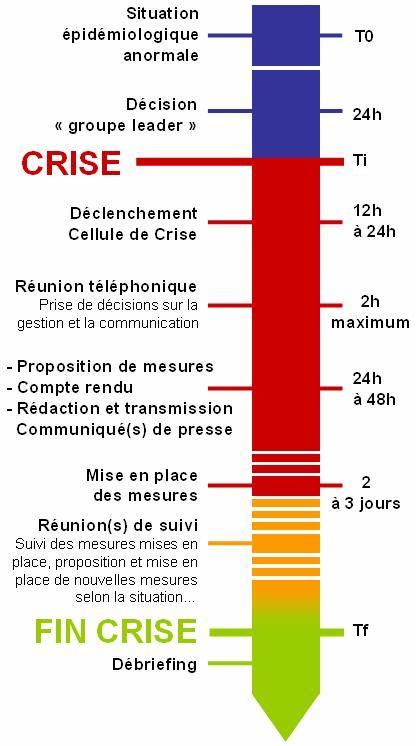 fonctionnement de la cellule de crise
