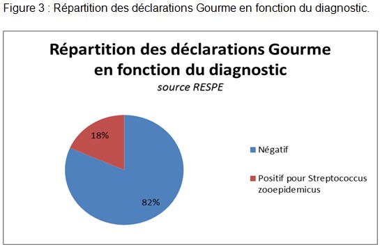 Gourme - RESPE