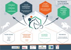 Le RESPE et ses acteurs