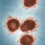 INFORMATION CORONAVIRUS COVID-19