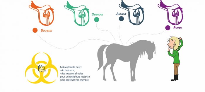 Biosécurité : ces gestes qui limitent les risques sanitaires