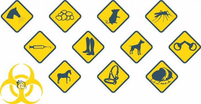 Biosécurité : ces gestes qui limitent les risques sanitaires