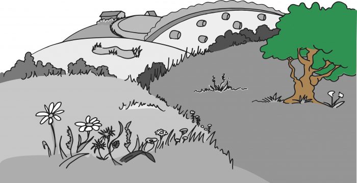 Les arbres qui apportent de l’ombre ou une protection contre les intempéries peuvent parfois être également toxiques pour les chevaux. Il est donc important de connaître et savoir reconnaître les principaux.