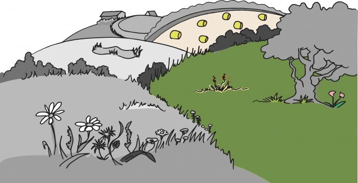 Plus d’informations sur les symptômes via ce lien. Retrouvez ici les informations générales sur les plantes toxiques pour les chevaux.
