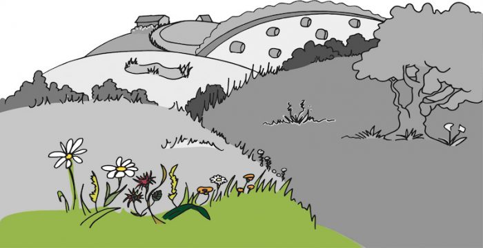 Talus et bords de haies : quelles sont les principales plantes toxiques pour les chevaux qu’il est possible d’y rencontrer ?