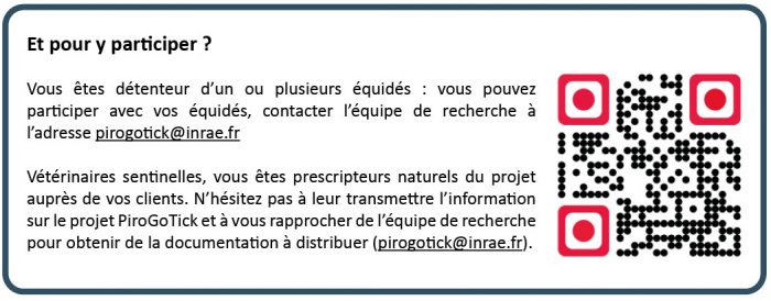 Rejoignez PiroGoTick, un projet de recherche participative sur la piroplasmose équine