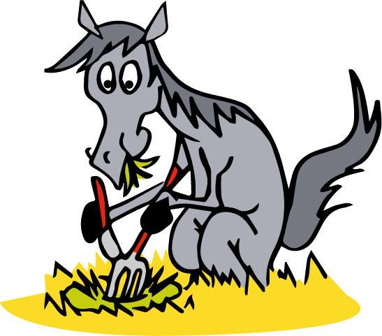 Le budget-temps du cheval correspond à la répartition sur 24h de ses activités : manger, se reposer, bouger, interagir avec ses congénères