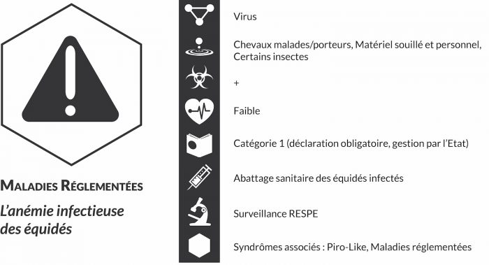 Anémie infectieuse des équidés: une résurgence sporadique