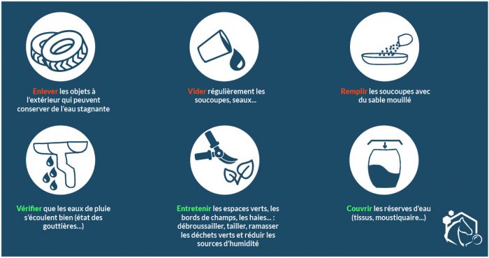 Les moustiques : quelles mesures de prévention pour limiter leur développement ? Les mesures permettant de limiter les populations de moustiques concernent les larves et les adultes