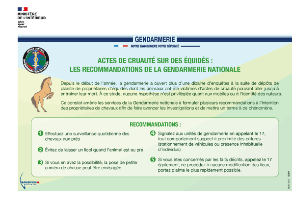 Actes de cruauté envers les équidés : le RESPE met à disposition des vétérinaires et des gendarmes les outils nécessaires pour faciliter les déclarations