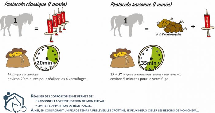 La coproscopie est une méthode qui permet d’analyser de manière simple, rapide et peu coûteuse les parasites présents dans les crottins de votre équidé. Elle permet d’avoir ainsi un instantané de son statut parasitaire.