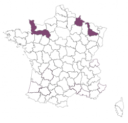 Bilan Reproduction RESPE - année 2020