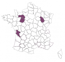 Bilan Reproduction RESPE - année 2020