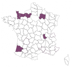 Bilan Reproduction RESPE - année 2020