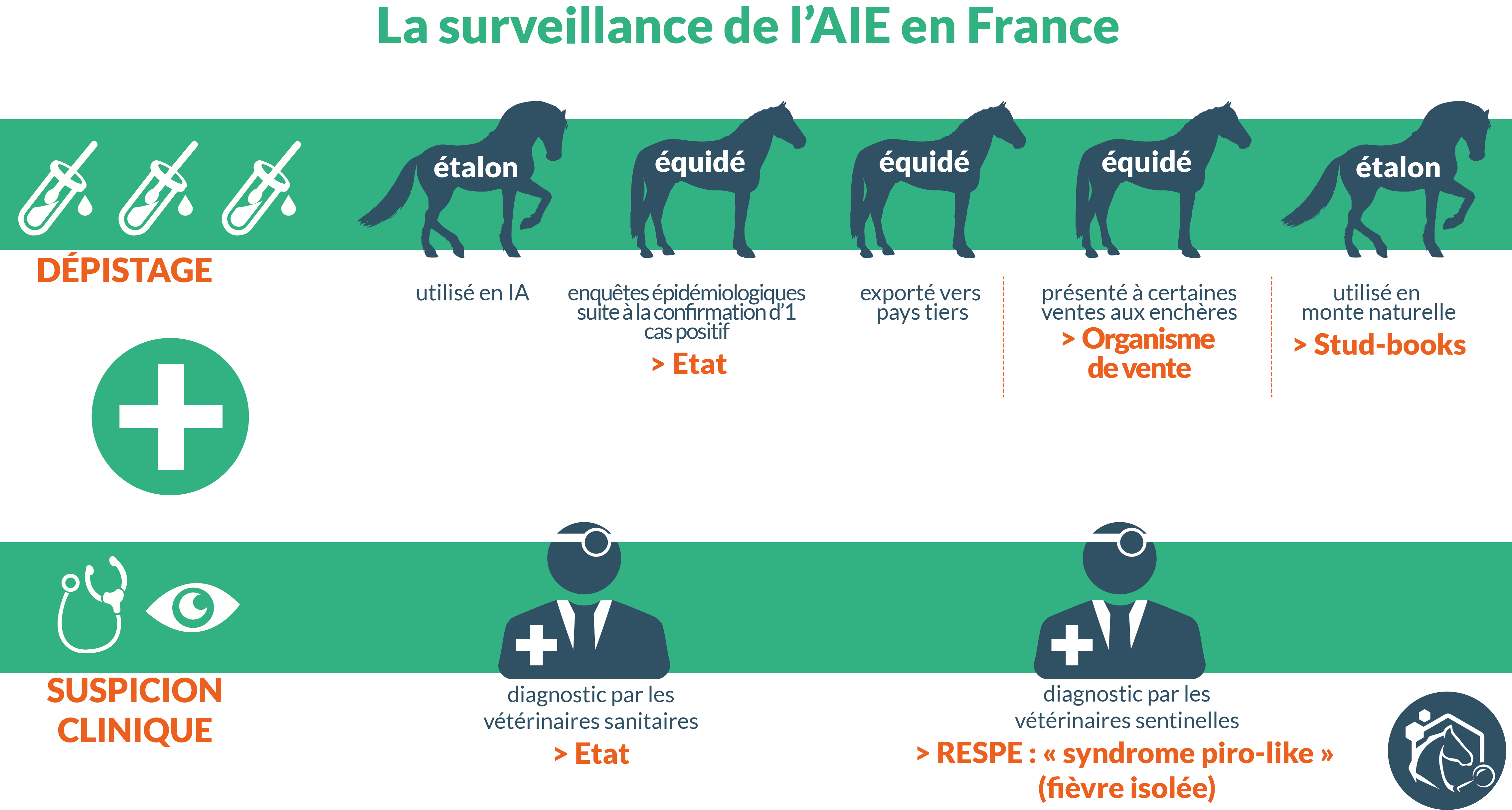 Bilan Reproduction RESPE - année 2020