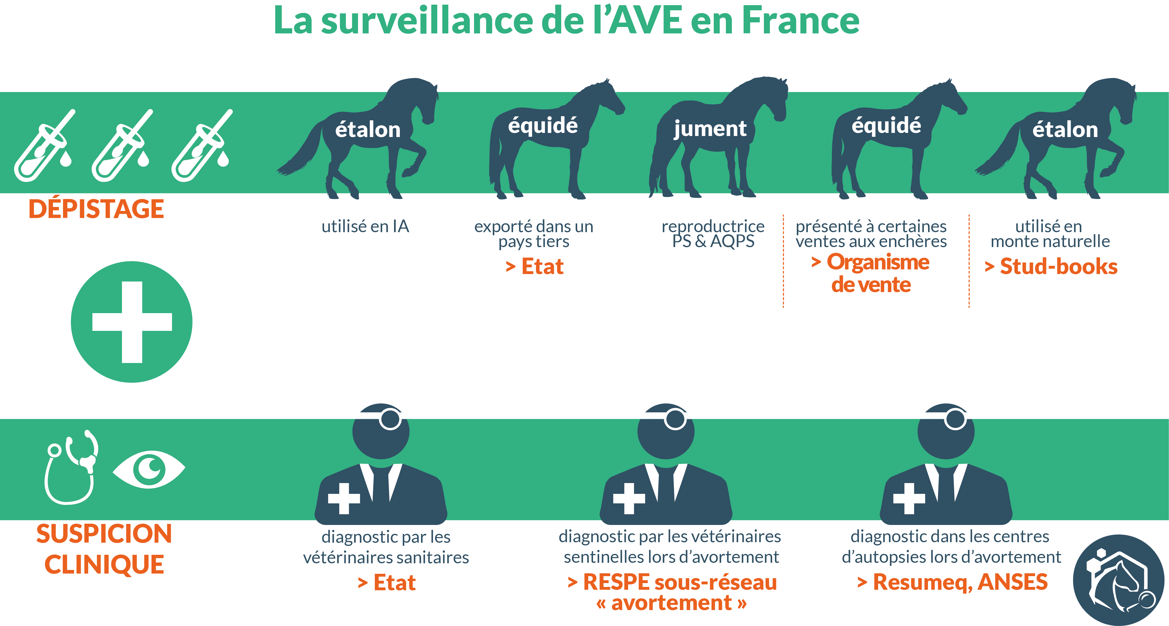 Bilan Reproduction RESPE - année 2020