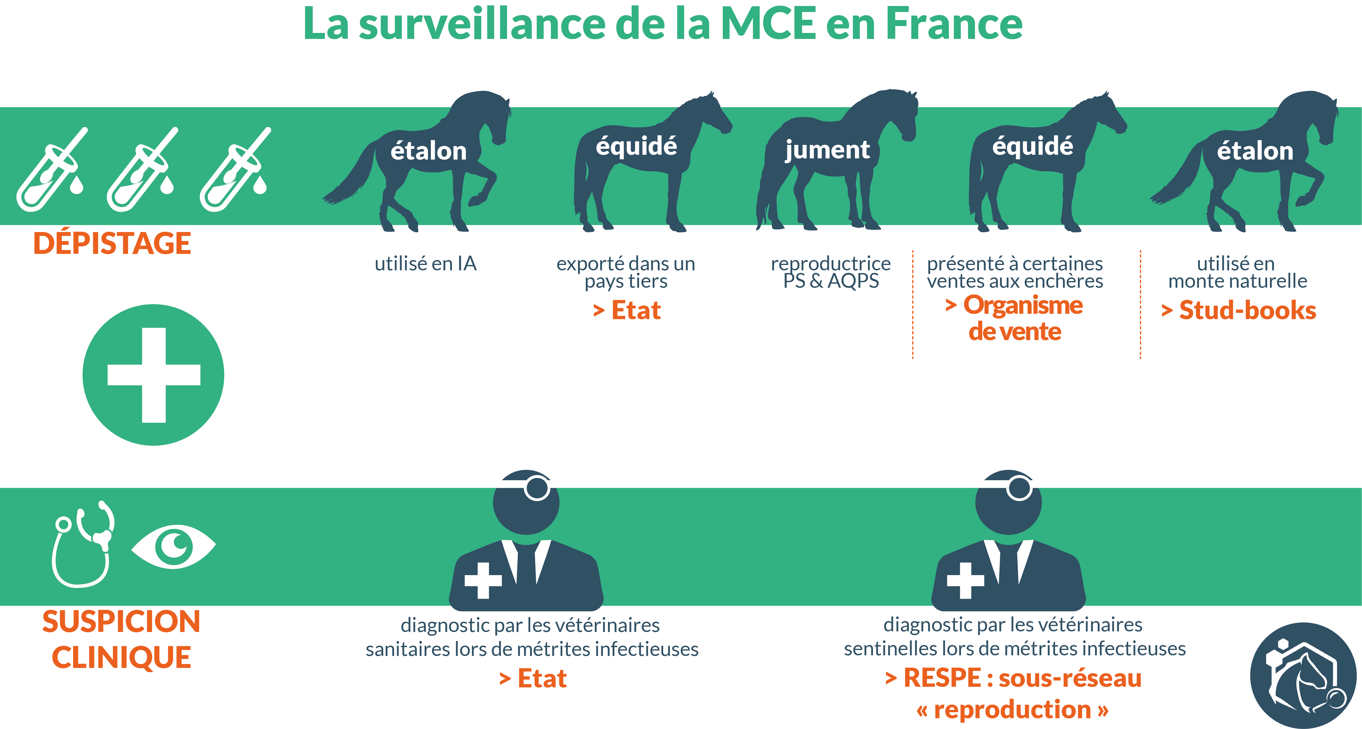 Bilan Reproduction RESPE - année 2020