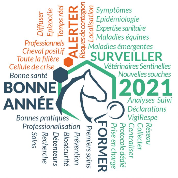 Bonne année 2021