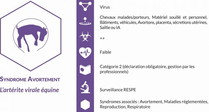Le RESPE produit un rapport d'information périodique sur la reproduction équine, dans l'objectif de diffuser des informations concernant les maladies ou tout autre événement en lien avec la reproduction des équidés, pouvant avoir des répercussions sur la saison de monte.