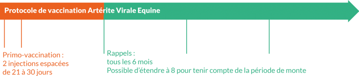 Le RESPE produit un rapport d'information périodique sur la reproduction équine, dans l'objectif de diffuser des informations concernant les maladies ou tout autre événement en lien avec la reproduction des équidés, pouvant avoir des répercussions sur la saison de monte.
