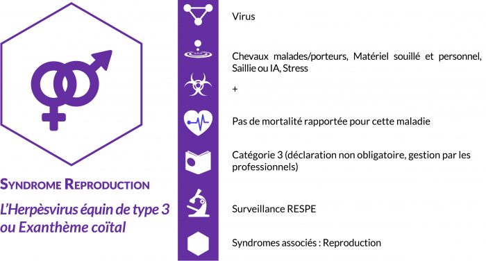 Le RESPE produit un rapport d'information périodique sur la reproduction équine, dans l'objectif de diffuser des informations concernant les maladies ou tout autre événement en lien avec la reproduction des équidés, pouvant avoir des répercussions sur la saison de monte.