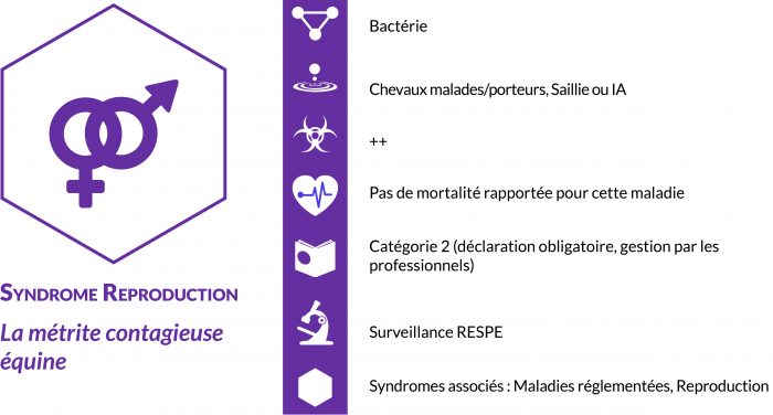 Le RESPE produit un rapport d'information périodique sur la reproduction équine, dans l'objectif de diffuser des informations concernant les maladies ou tout autre événement en lien avec la reproduction des équidés, pouvant avoir des répercussions sur la saison de monte.