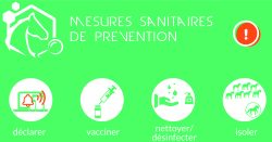 La cellule de crise du RESPE s’est réunie le 01 mars dans le cadre des foyers d’herpèsvirose de type 1 (HVE1 – rhinopneumonie) confirmés en Espagne  à Valence, sur le site du Valencia Spring Jumping Tour et dans plusieurs départements en France en lien épidémiologique avec le foyer espagnol.