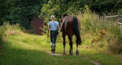 cheval chemin femme détenteur
