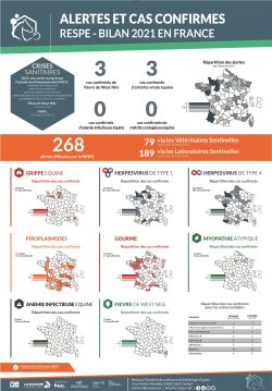 Bilan Annuel Alertes 2021
