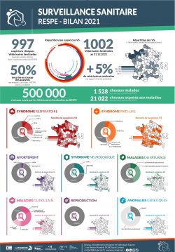 Bilan Annuel Surveillance 2021