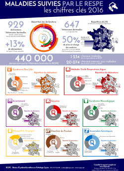 Bilan Annuel SousReseaux 2016