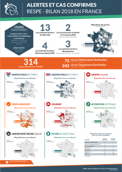 Bilan Annuel Alertes 2018