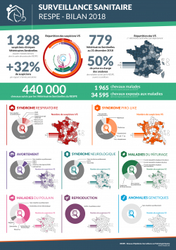 Bilan Annuel Surveillance 2018
