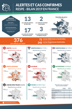 Bilan Annuel Alertes 2019