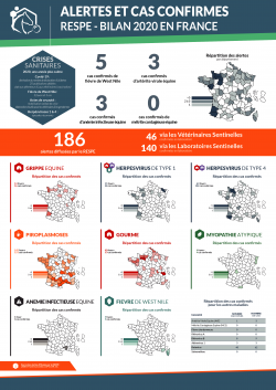Bilan Annuel Alertes 2020