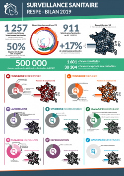 Bilan Annuel Surveillance 2019
