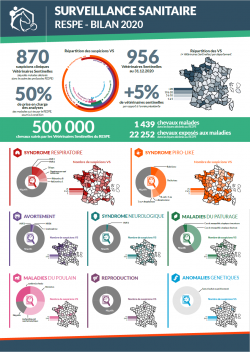 Bilan Annuel Surveillance 2020