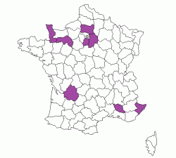 rapport monte 2021