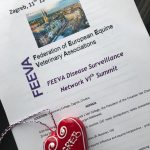 feeva