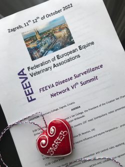feeva
